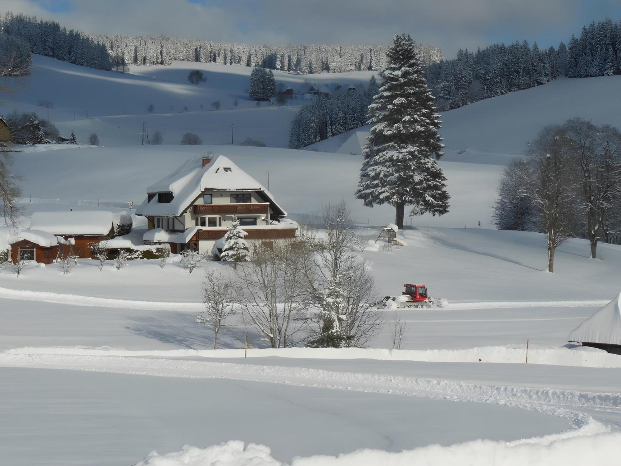 Ferienhaus Kaltenbach Titisee-Neustadt Exteriör bild