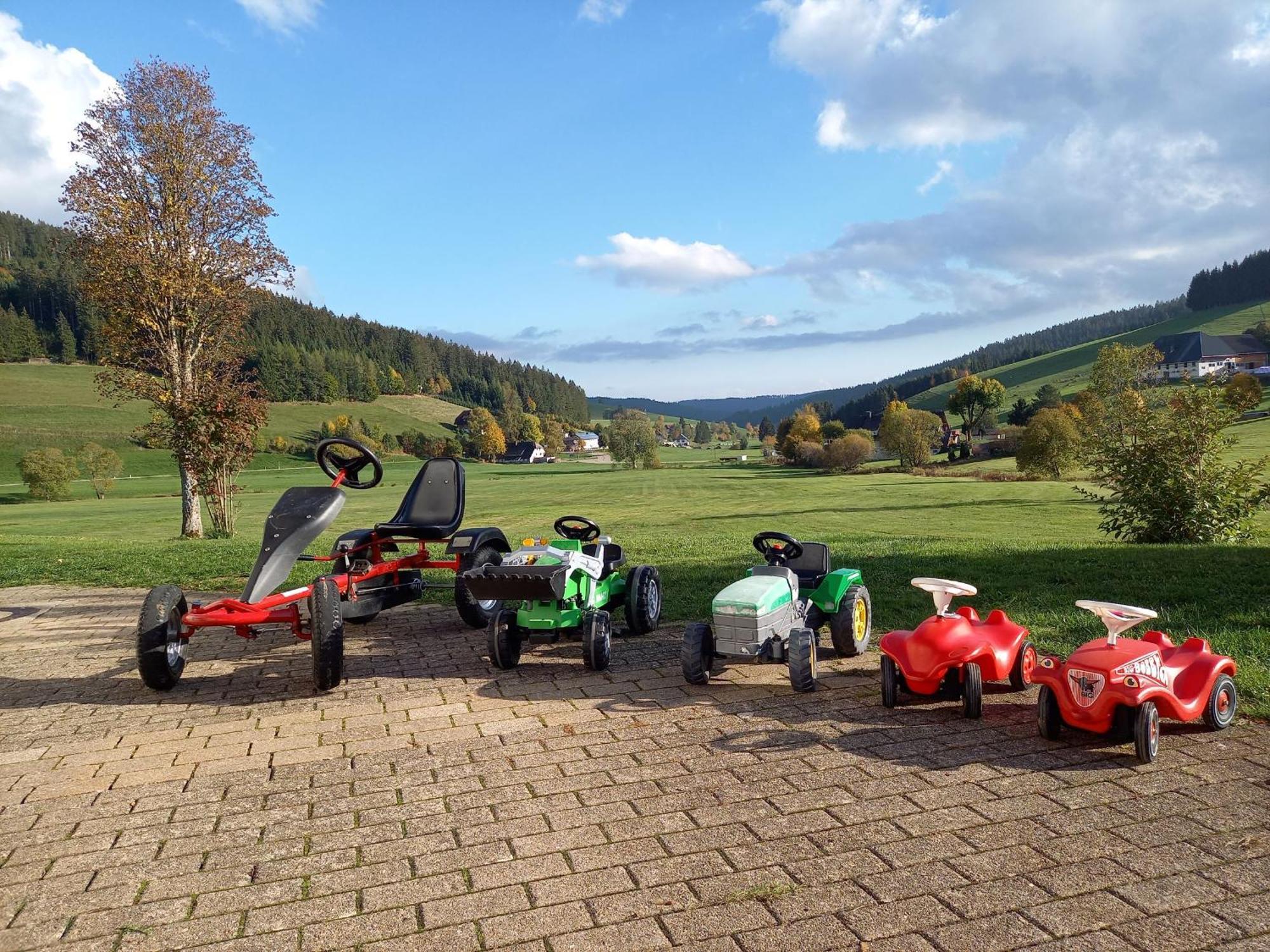 Ferienhaus Kaltenbach Titisee-Neustadt Exteriör bild