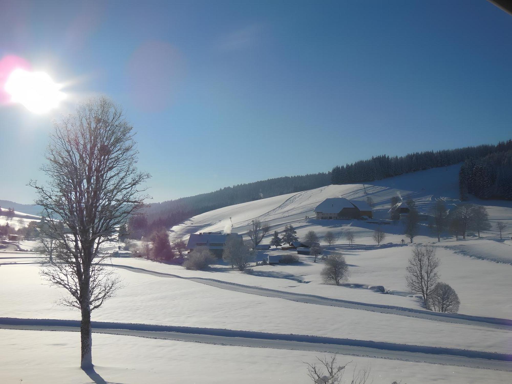 Ferienhaus Kaltenbach Titisee-Neustadt Exteriör bild