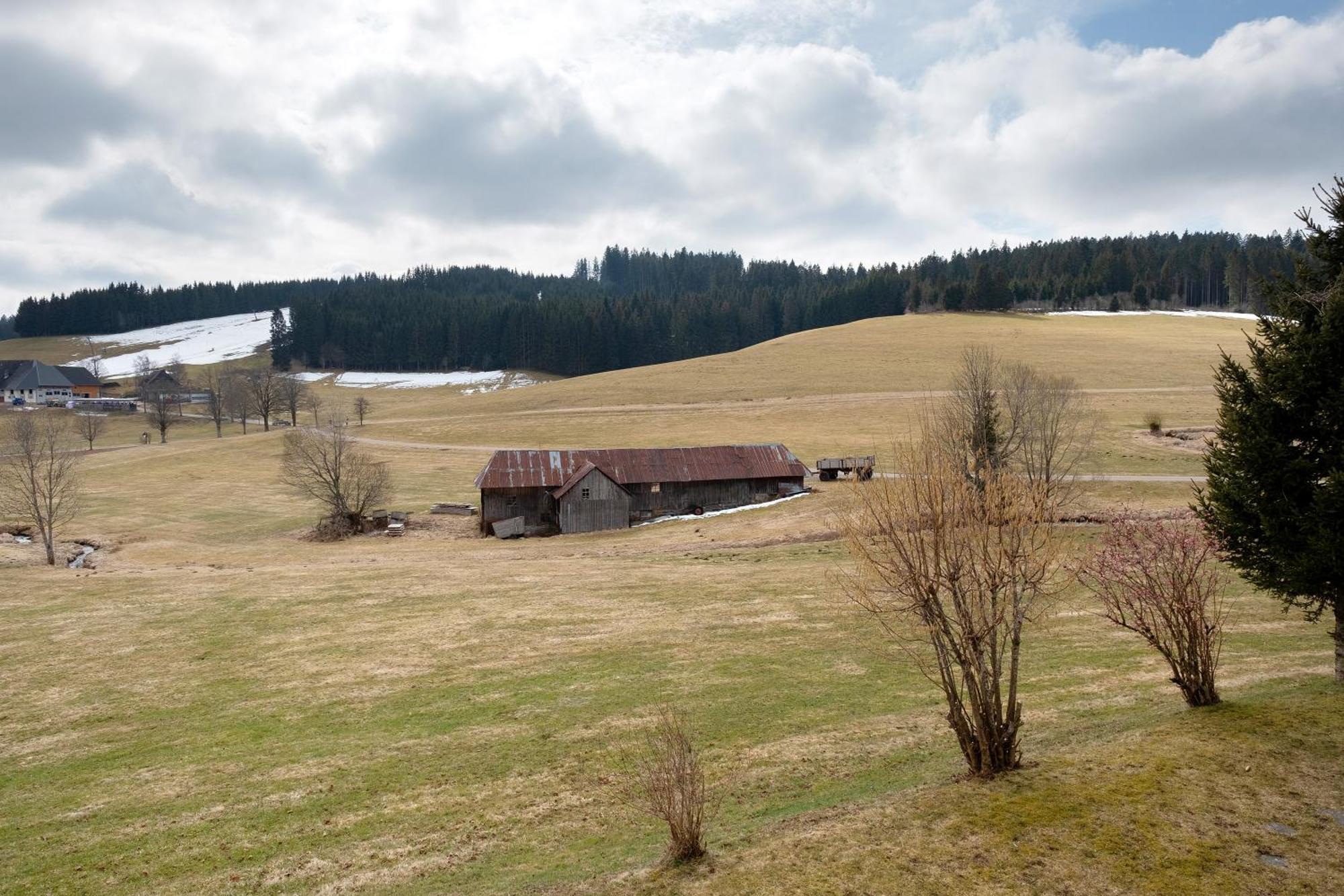 Ferienhaus Kaltenbach Titisee-Neustadt Exteriör bild