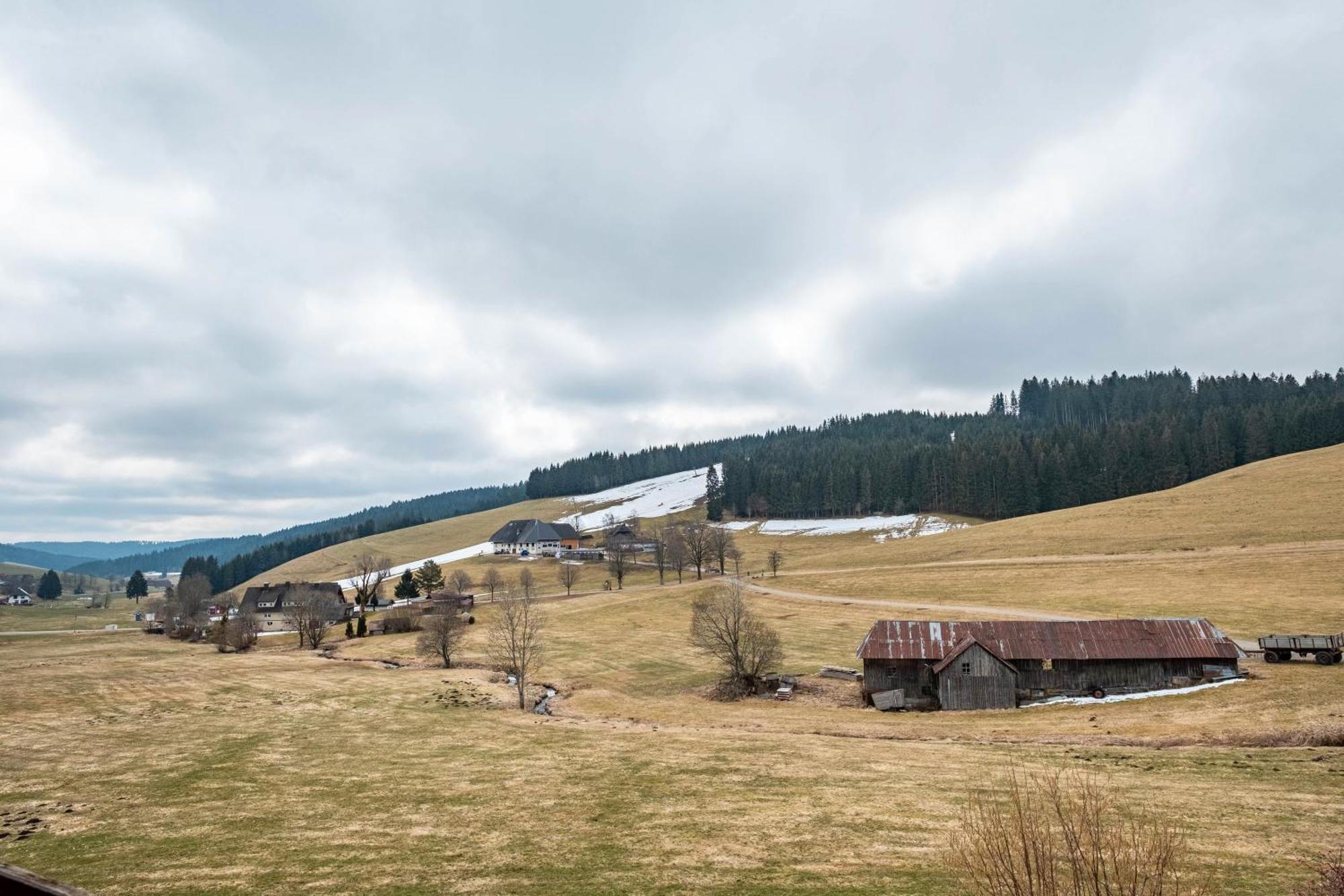 Ferienhaus Kaltenbach Titisee-Neustadt Exteriör bild