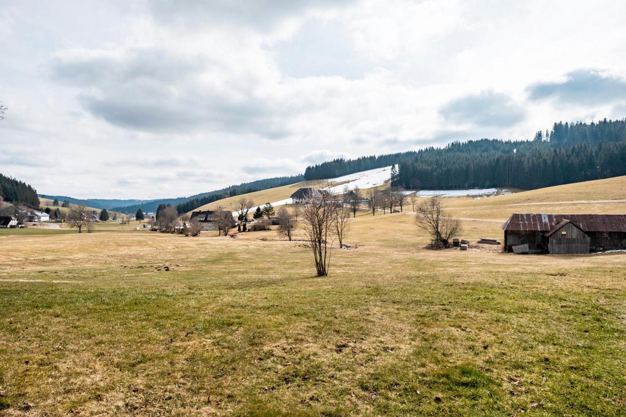 Ferienhaus Kaltenbach Titisee-Neustadt Exteriör bild